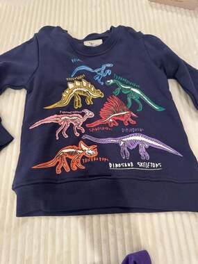 Jumping Meters Glow in the Dark Dinosaur Skeletons Pullover Sweatshirt